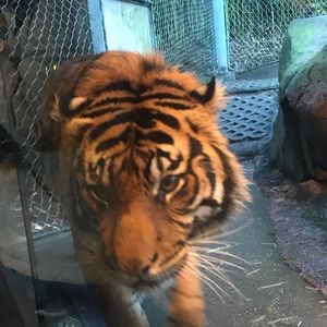 Meet your Posher, Tanisha